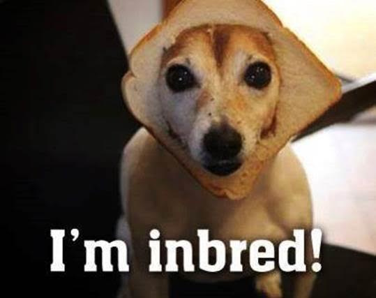 InBread