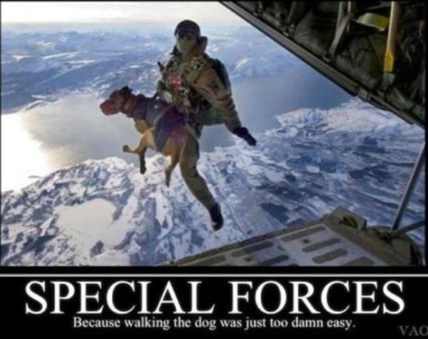 MilitaryServiceDog 00032