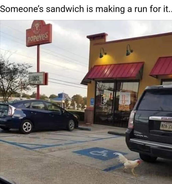 WhereIsMySandwich