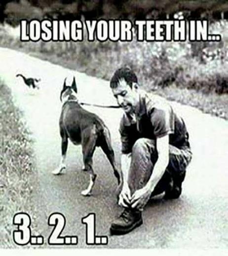 LosingYourTeeth
