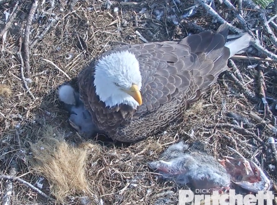 Screen Shot 2019 12 31 at 11 19 35 AM