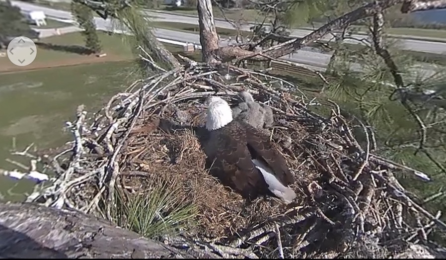 Screen Shot 2020 01 09 at 2 58 26 PM