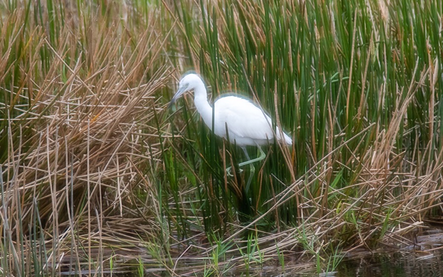 D75_5177.jpg D75 5177