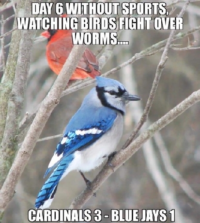 DaysWithoutSports