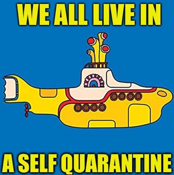 SelfQuarantine.jpg SelfQuarantine