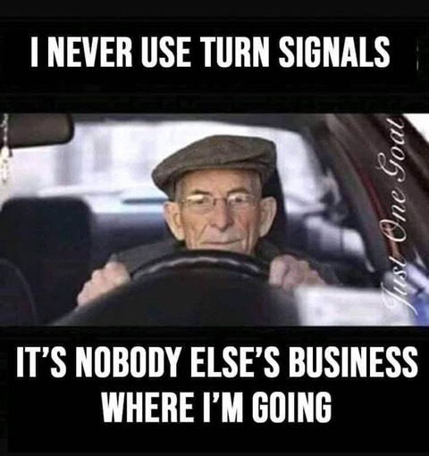 TurnSignals