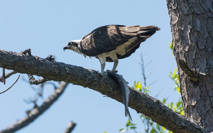 D71 1907 Luminar4 edit 2