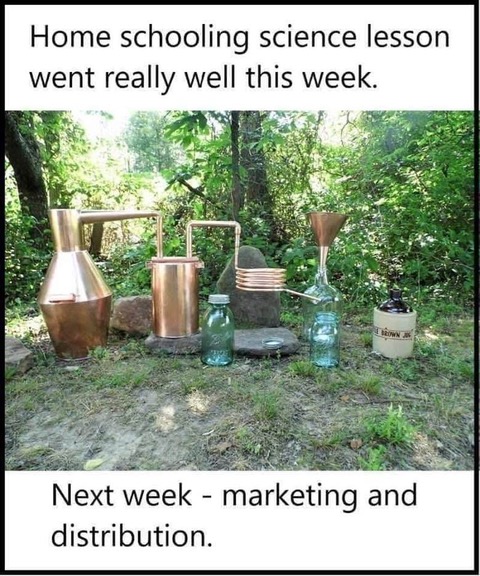 HomeSchoolScienceLesson