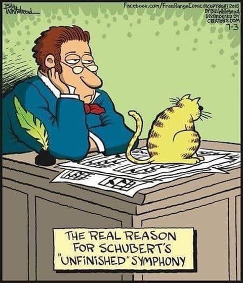 SchubertsUnfinished.jpg SchubertsUnfinished
