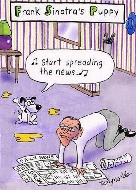 SinatraPuppy.jpg SinatraPuppy