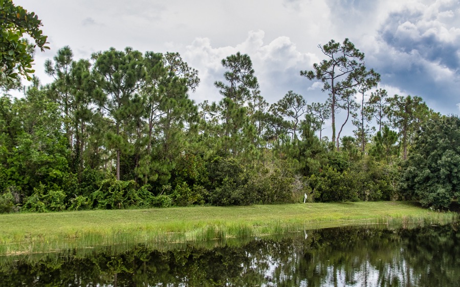 D75 6034 Luminar4 edit