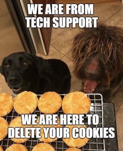 DeleteYourCookies