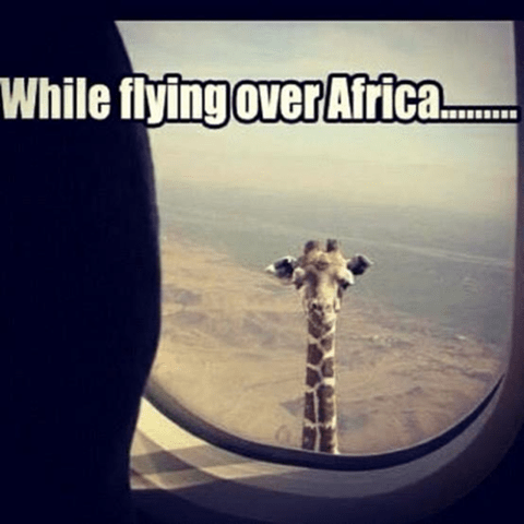 FlyingOverAfrica