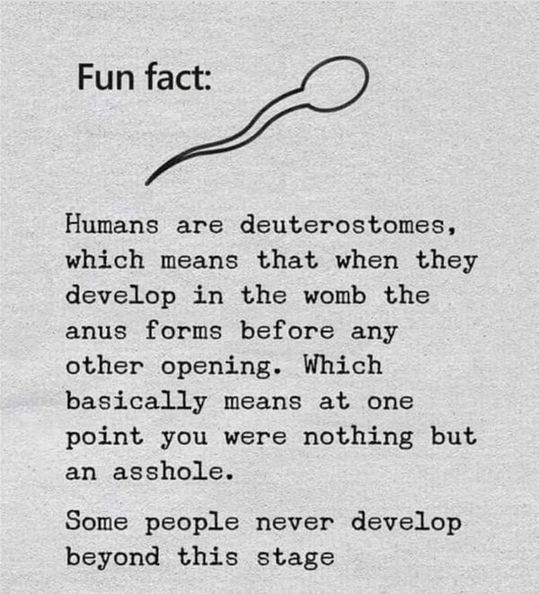 Deuterostomes