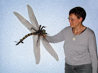 CarboniferousDragonfly