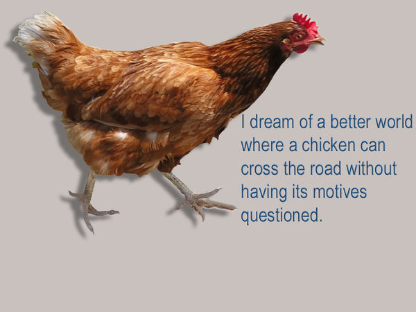 ChickenCrossTheRoad.jpg ChickenCrossTheRoad