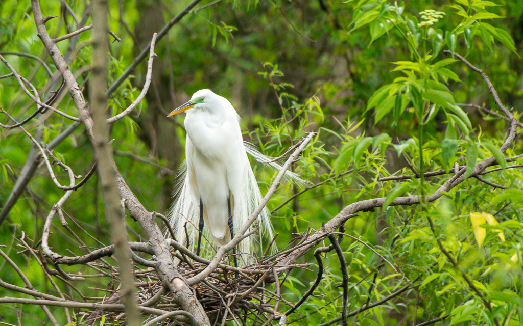 D71_1311-2.jpg D71 1311 2