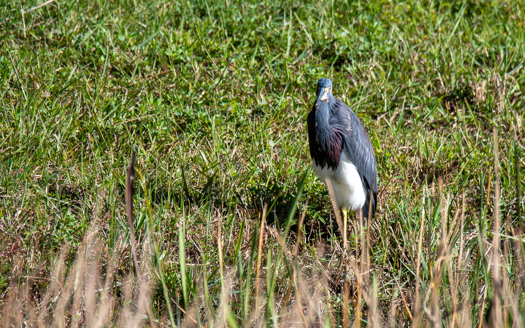 D75_6371.jpg D75 6371