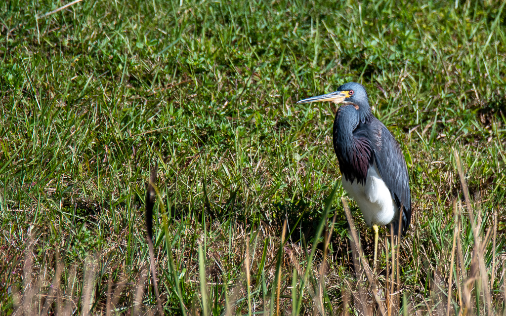 D75_6374.jpg D75 6374