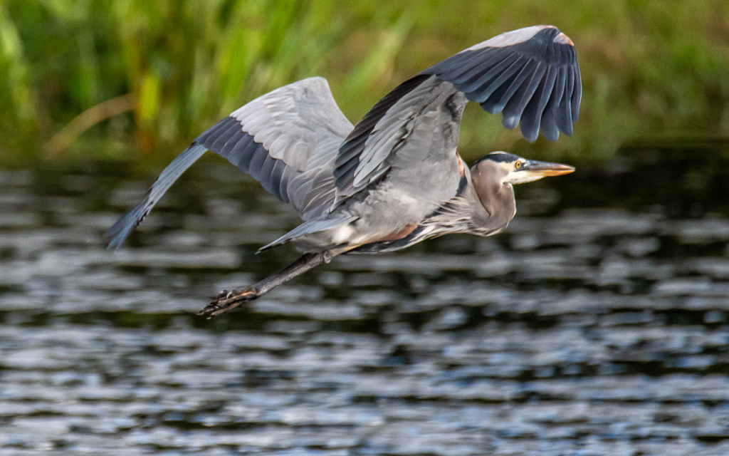 D75_6407.jpg D75 6407