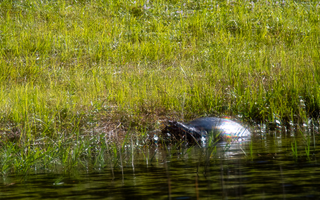 D75_6419.jpg D75 6419