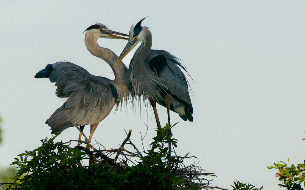 DSC_1670 - Version 2.jpg DSC 1670 Version 2