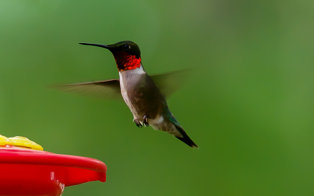 DSC_4815-2.jpg DSC 4815 2