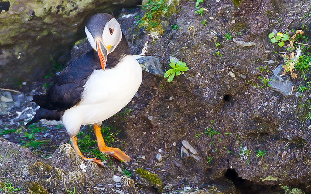 DSC_5792-2.jpg DSC 5792 2