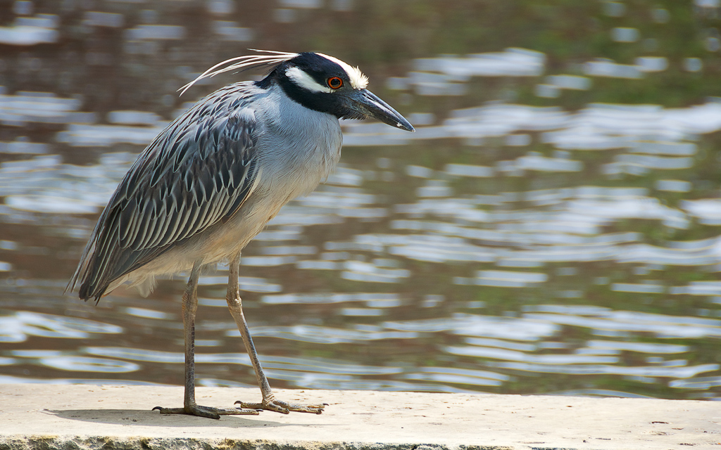 DSC_6277.jpg DSC 6277