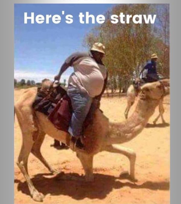 HereIsTheStraw.jpg HereIsTheStraw