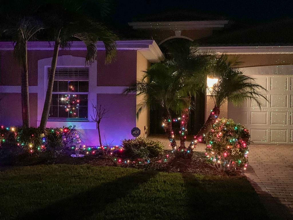 IMG_3710.jpg IMG 3710