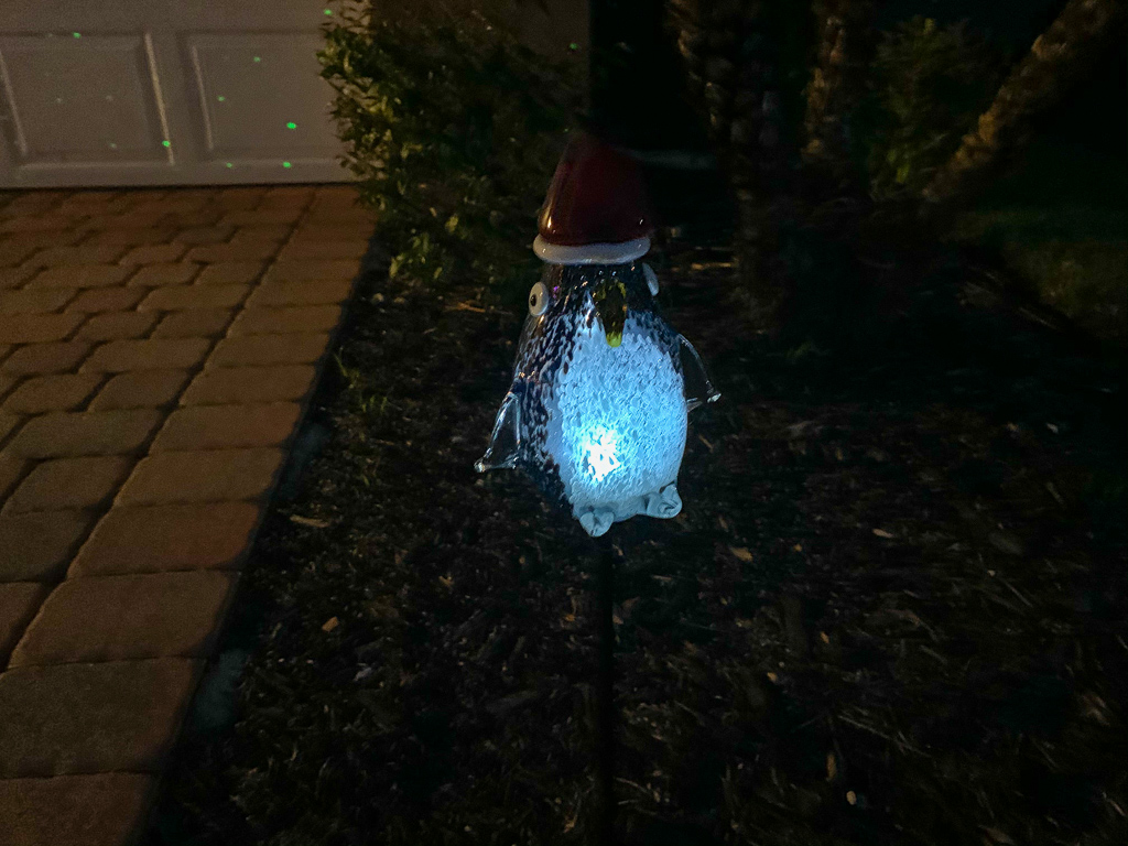 IMG_3717.jpg IMG 3717