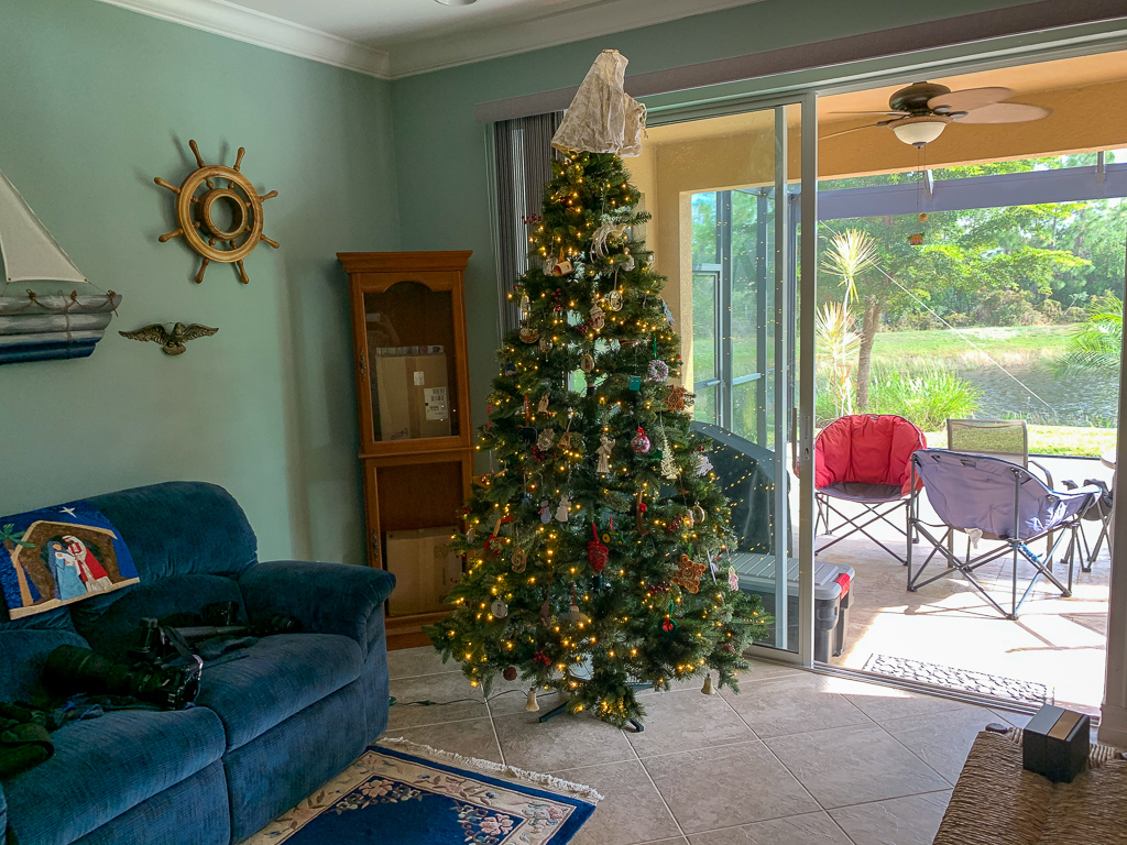 IMG_3722.jpg IMG 3722