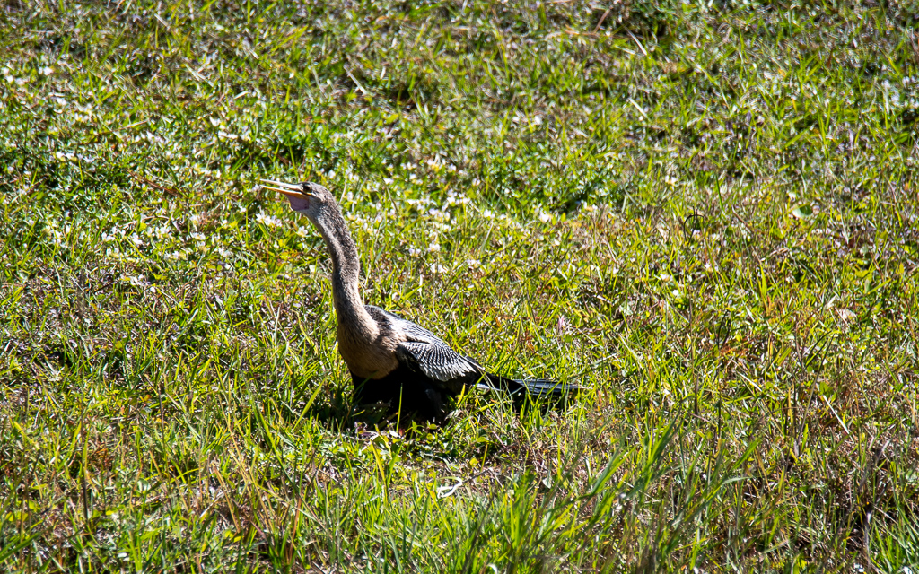 D75_6575-2.jpg D75 6575 2