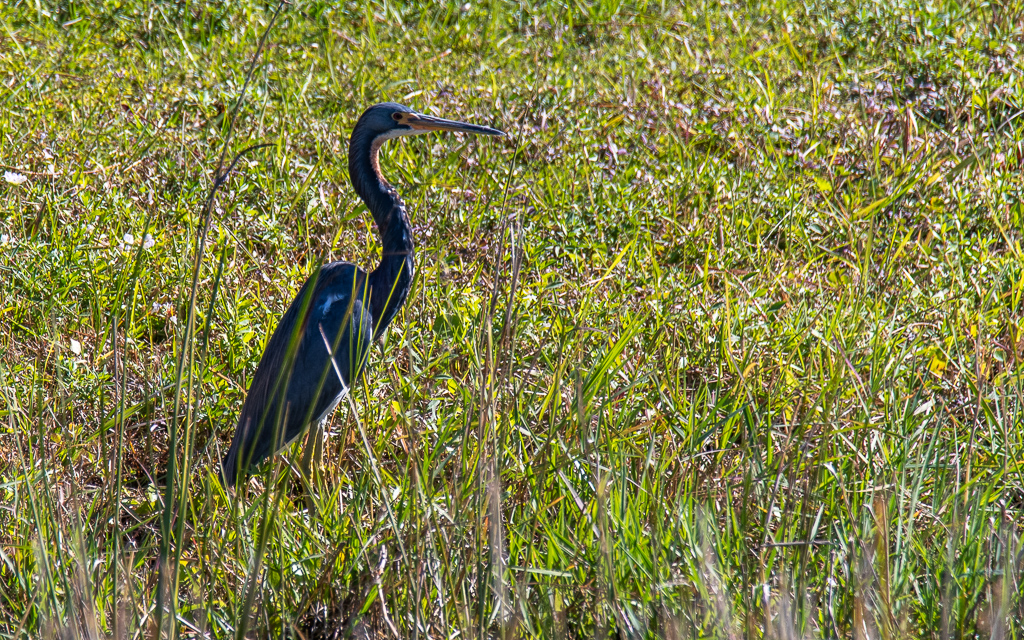 D75_6588-2.jpg D75 6588 2