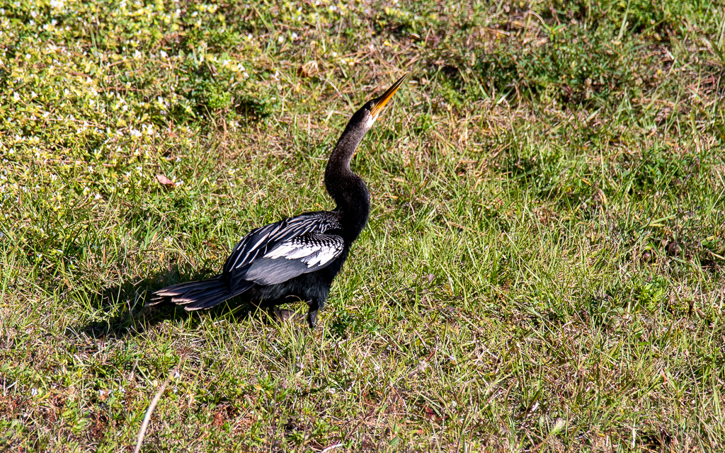 D75_6612-2.jpg D75 6612 2