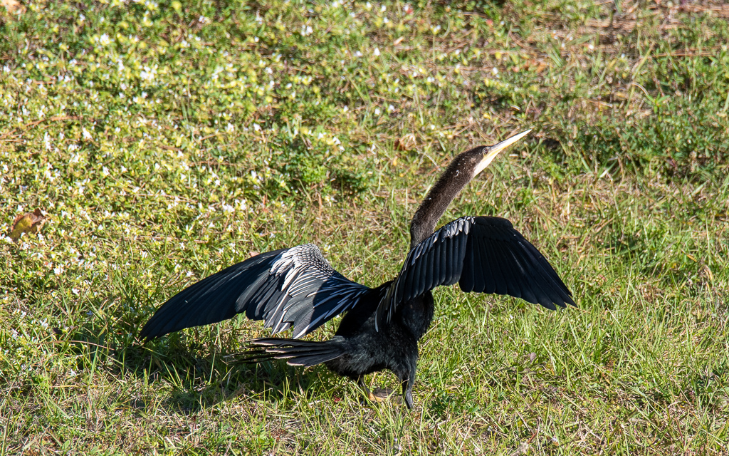 D75_6616-2.jpg D75 6616 2