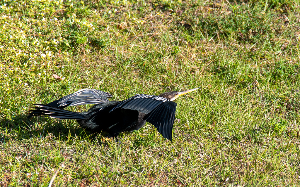 D75_6617-2.jpg D75 6617 2