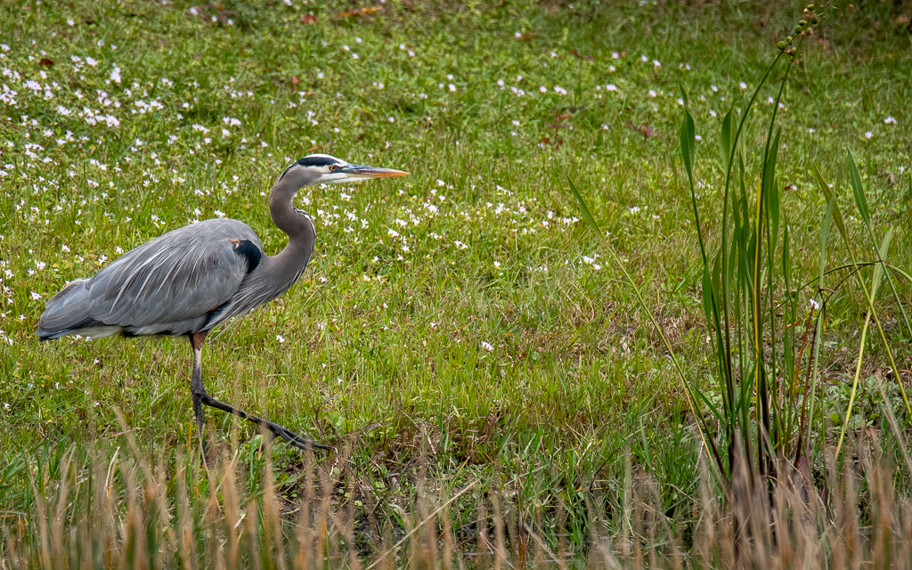 D75_6622-2.jpg D75 6622 2