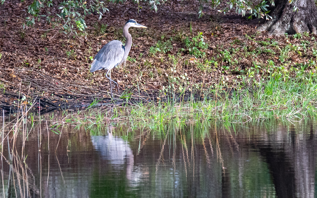 D75_6646-2.jpg D75 6646 2