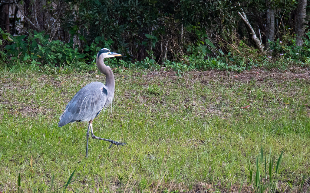 D75_6663-2.jpg D75 6663 2