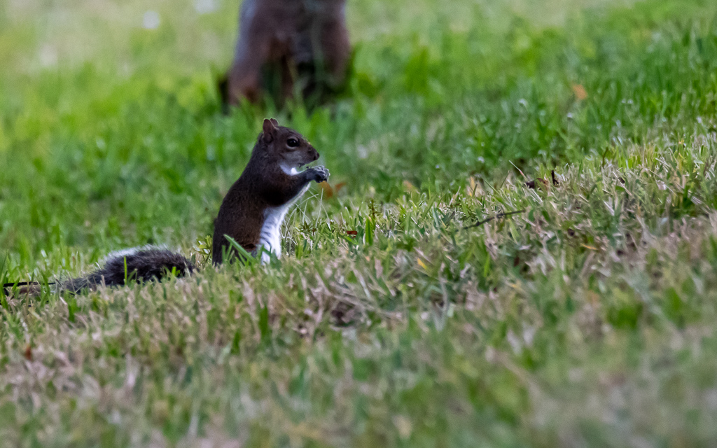 D75_6684-2.jpg D75 6684 2