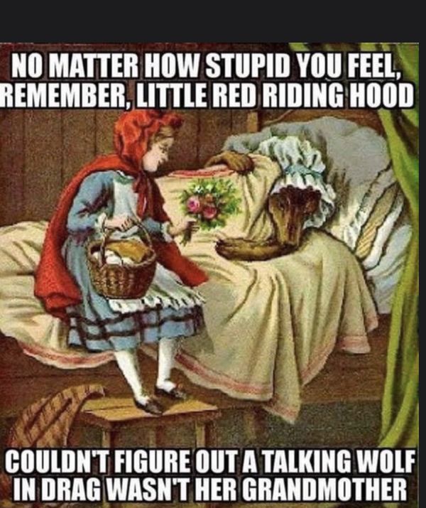 NoMatterHowStupid.jpg NoMatterHowStupid