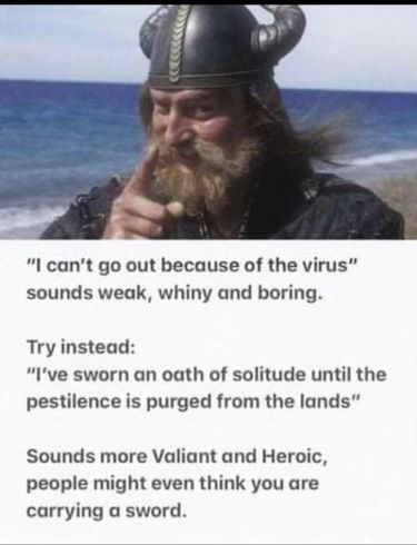 VikingQuarantine.jpg VikingQuarantine