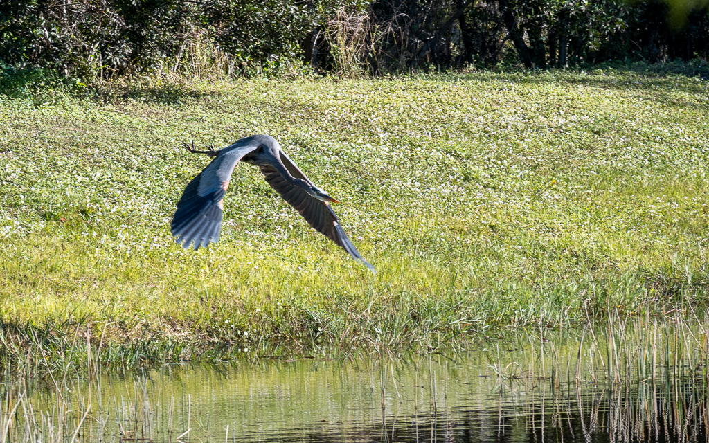 Z50_0039-2.jpg Z50 0039 2