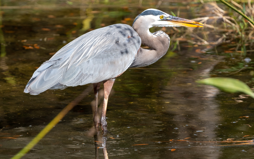 D75_6813.jpg D75 6813