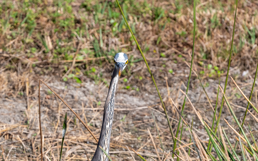 D75_6929.jpg D75 6929