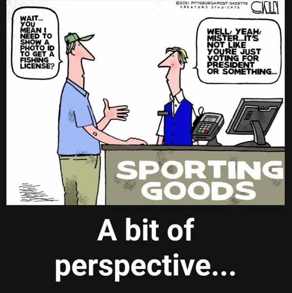 PerspectiveOnVoterID