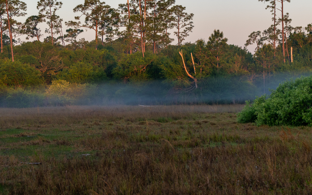 Z50 1044 Luminar4 edit