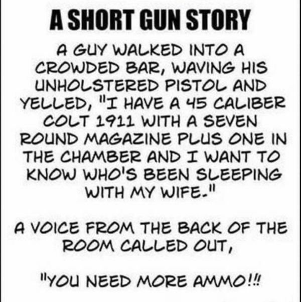 ShortGunStory